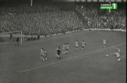 ▲1966年世界杯，贝利直接任意球攻破保加利亚球门。