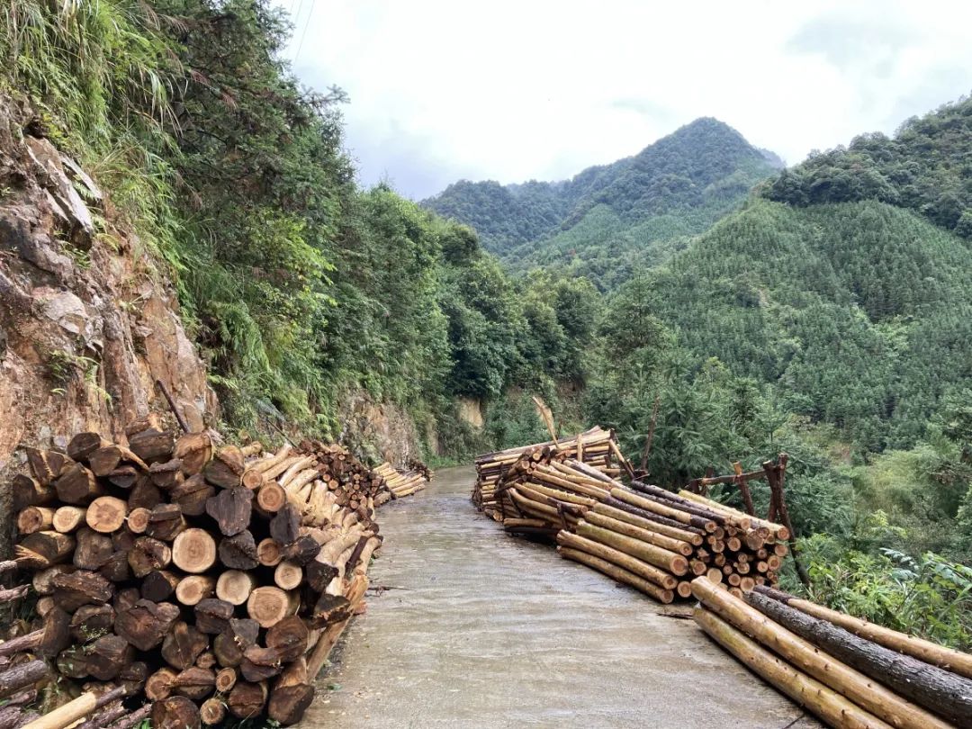 环江毛南族自治县林业局供图