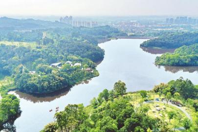 永安湖城市森林公园原为永安水库,地处成都天府国际生物城中央核心区