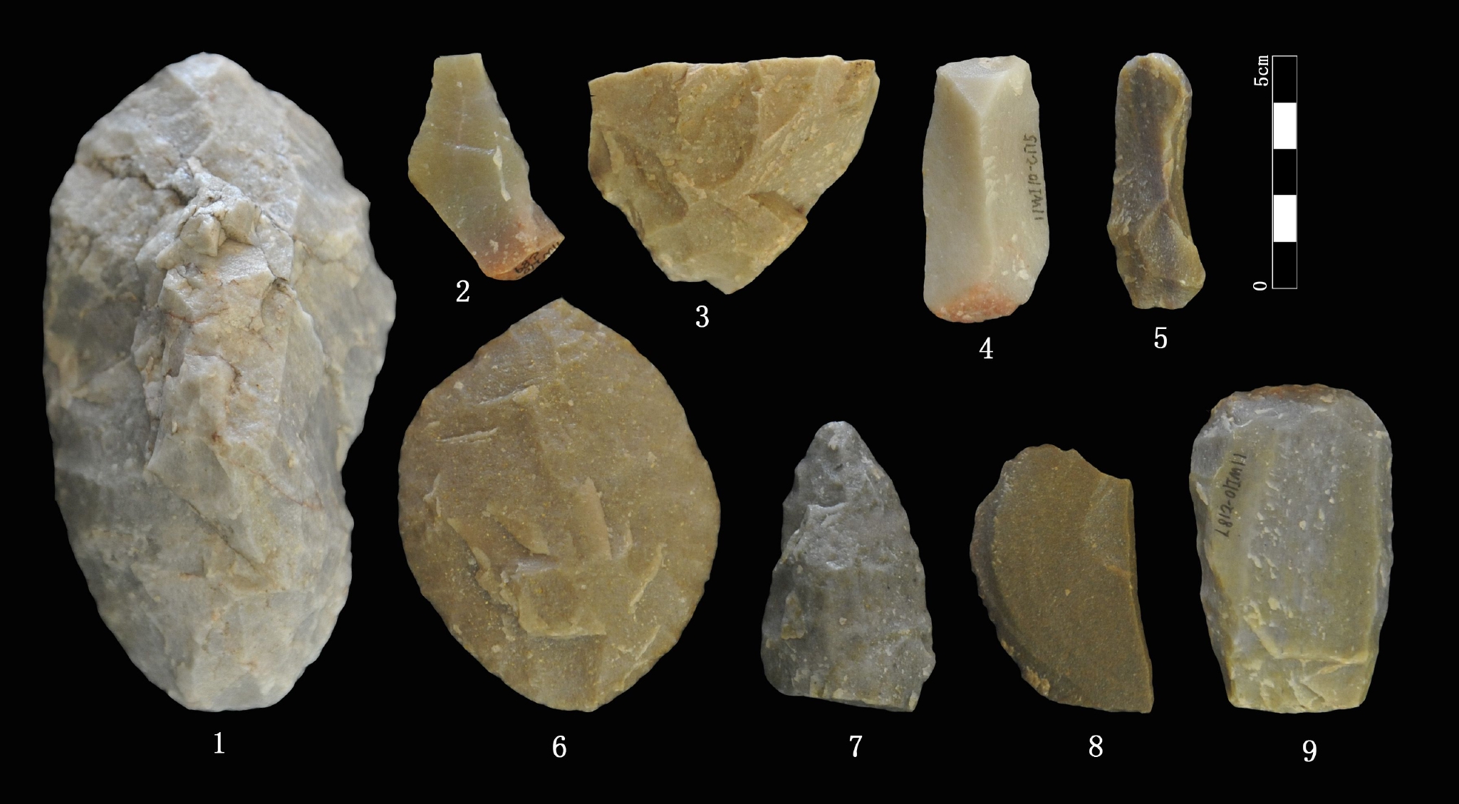 内蒙古鄂尔多斯市出土大量旧石器时代石器|鄂尔多斯市|考古|内蒙古