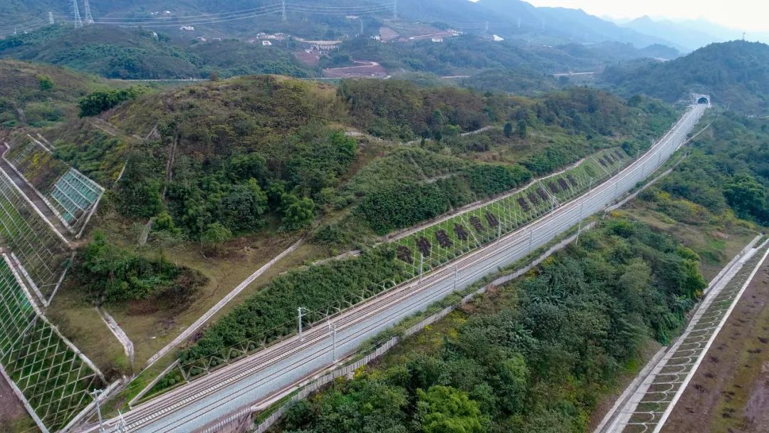 重庆铁路枢纽东环线"火车的绿道" 周钰佳 摄
