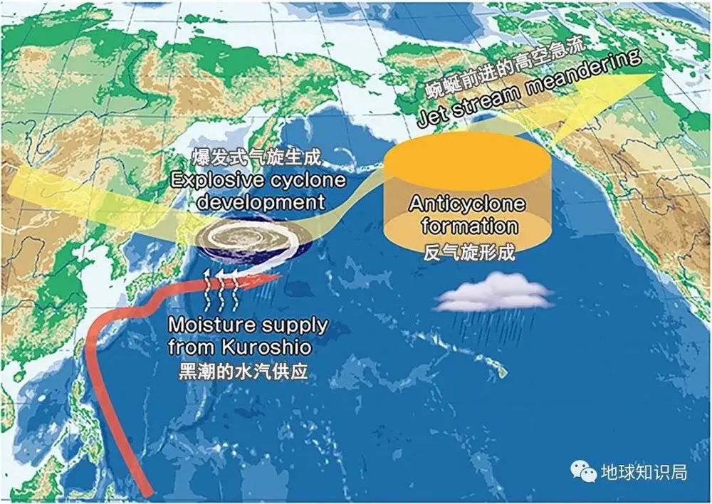 美国,惨遭寒潮扫荡的五天_手机新浪网