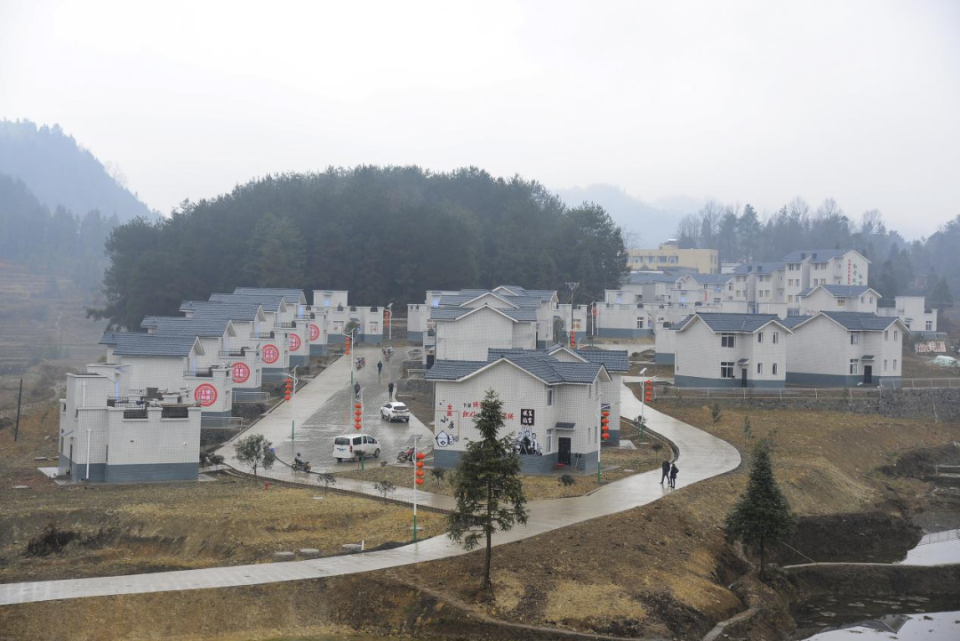 泸州老窖名酒70年:谋发展树标杆,开启中国名酒新征程|泸州老窖藏典