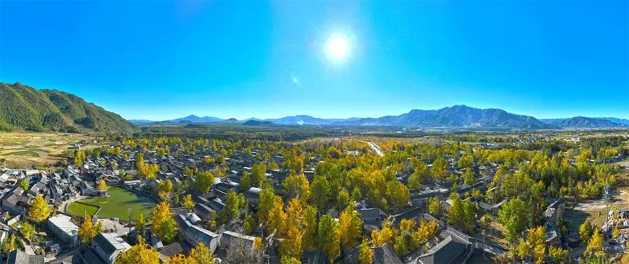 腾冲银杏村航拍 刘正凡 摄