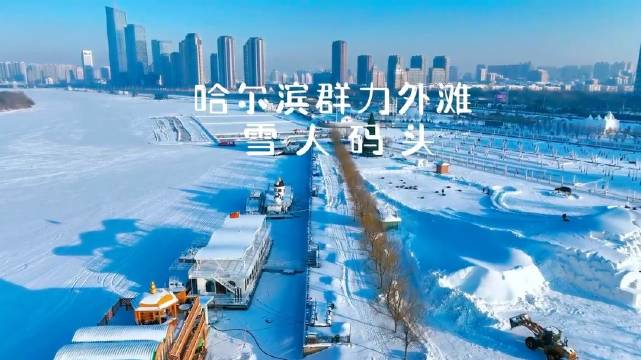 群力seo优化公司价格