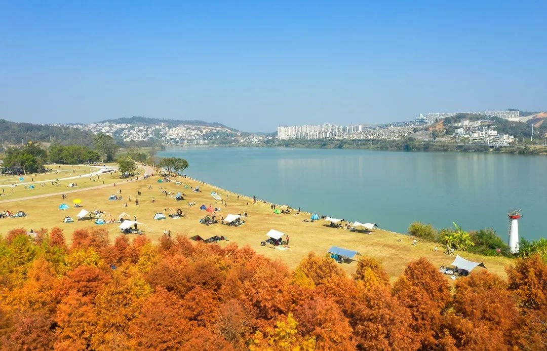市民在南宁龟山滨江公园乐享元旦假日冬暖时光.通讯员 朱小明 摄