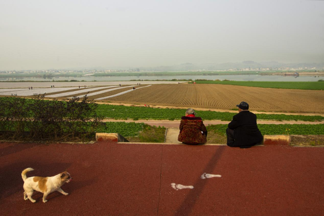 2022年12月27日,潼南區蔬菜公園曬太陽的老倆口.莫春霞 攝