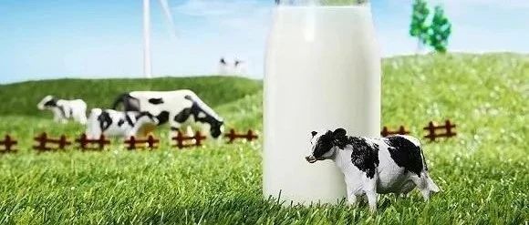2022年乳企扎堆上市,2023年中小品牌机会何在?|乳制品|乳企|乳业_新浪新闻