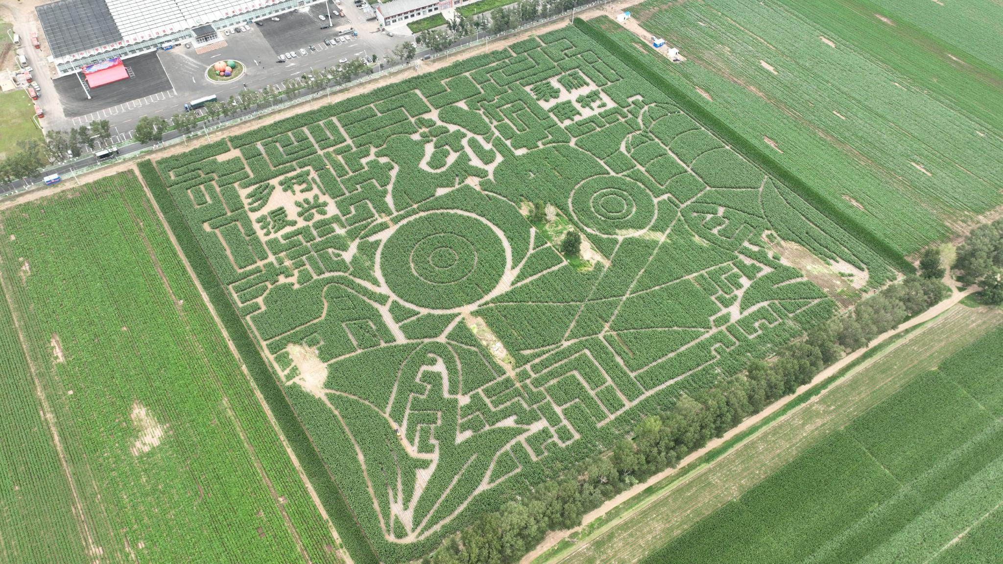 航拍察右前旗南村田野美景.大兴区供图