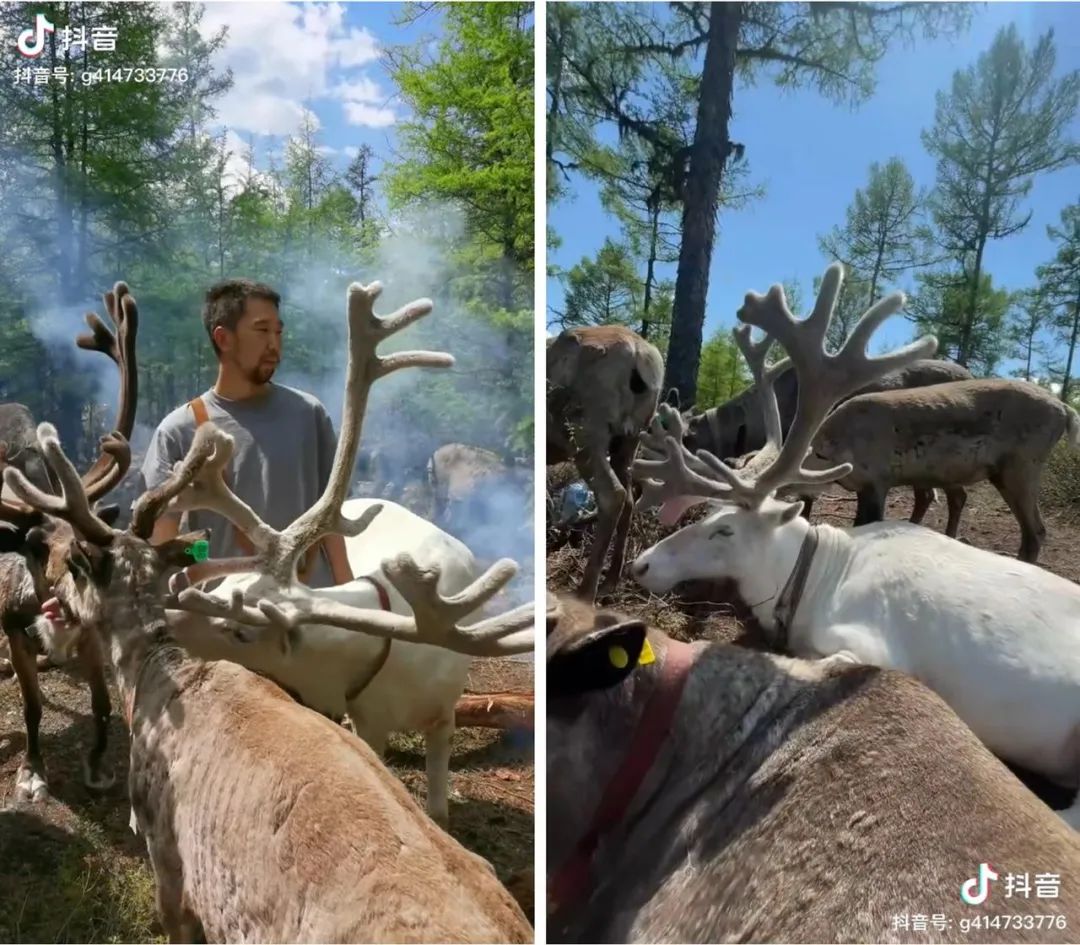 去旅行吧！这里有你从未看过的风景休闲区蓝鸢梦想 - Www.slyday.coM