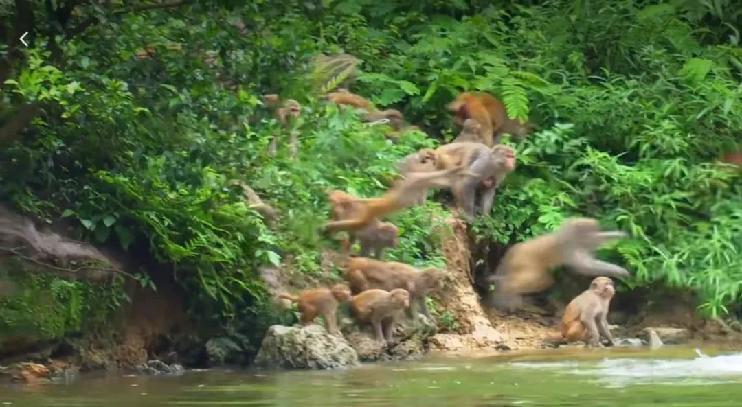 去旅行吧！这里有你从未看过的风景休闲区蓝鸢梦想 - Www.slyday.coM
