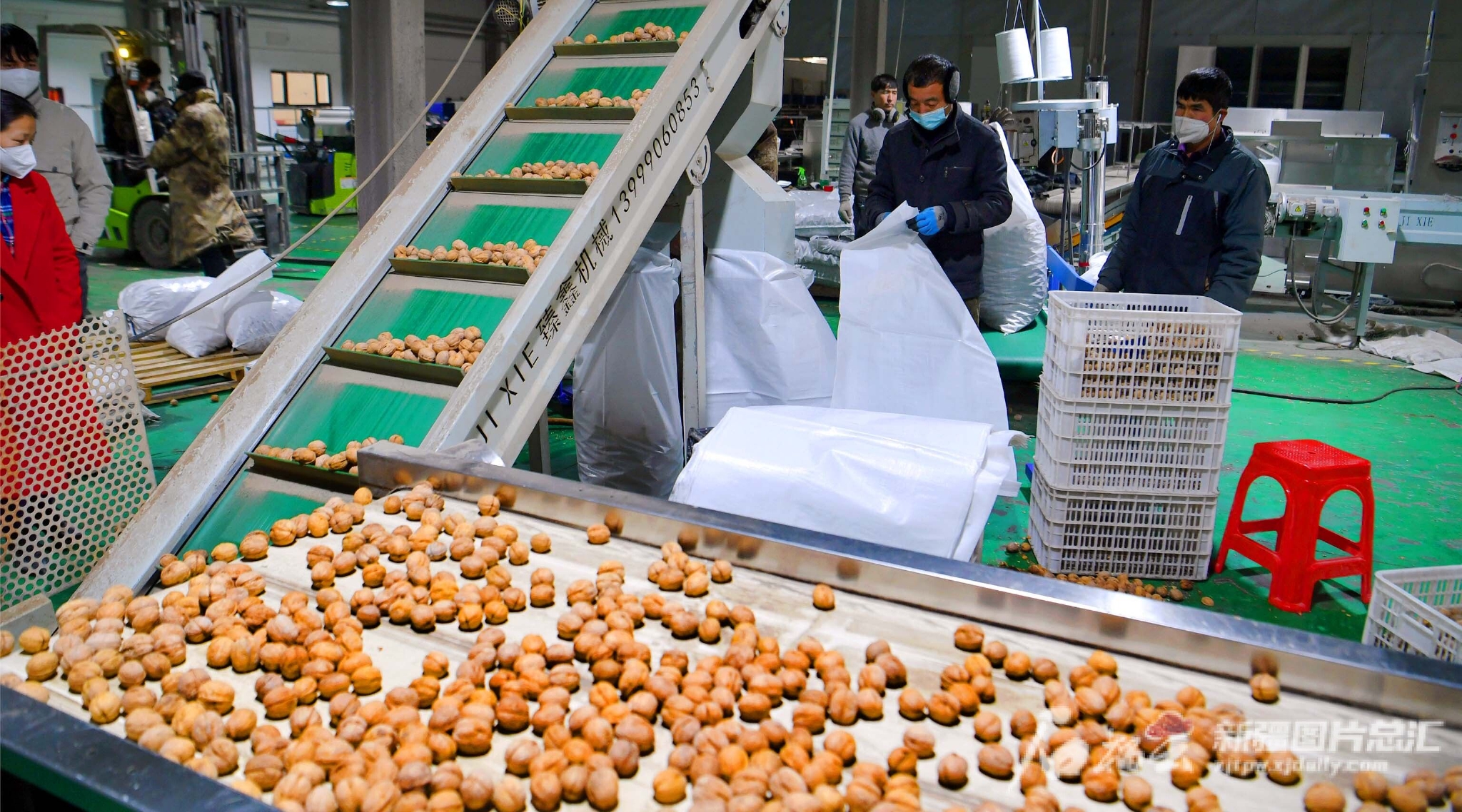 核桃初加工 巧算精细账|阿克苏市_新浪财经_新浪网