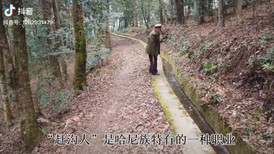 去旅行吧！这里有你从未看过的风景休闲区蓝鸢梦想 - Www.slyday.coM