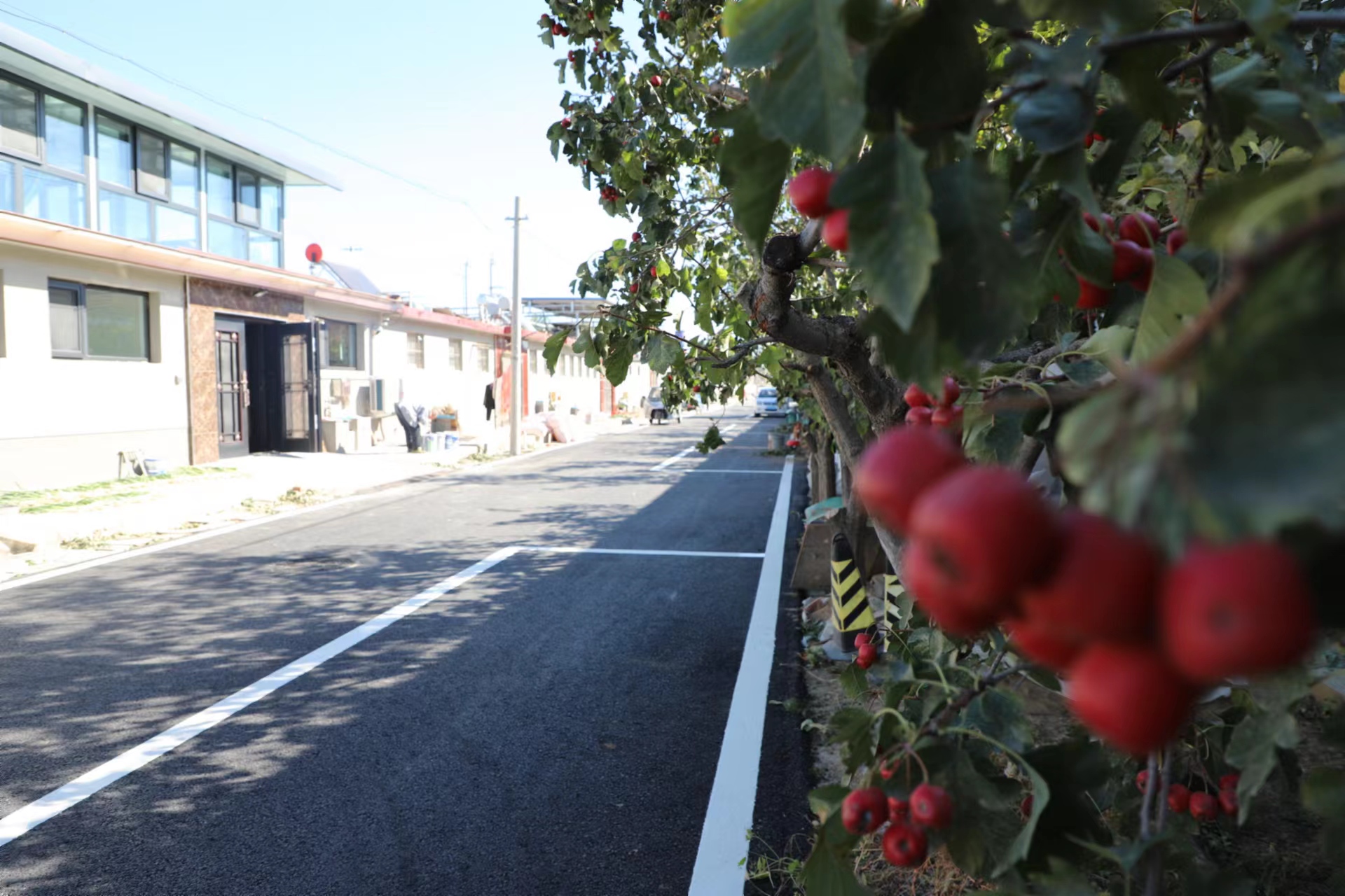 平谷区峪口镇蔡坨村整洁宽敞的道路和现代化的"花园洋房".资料图
