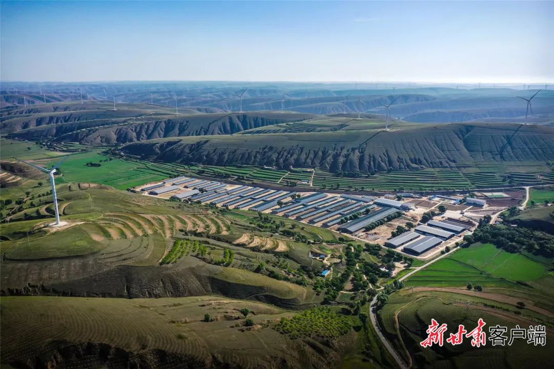 环县车道镇双庙村肉羊育肥场.