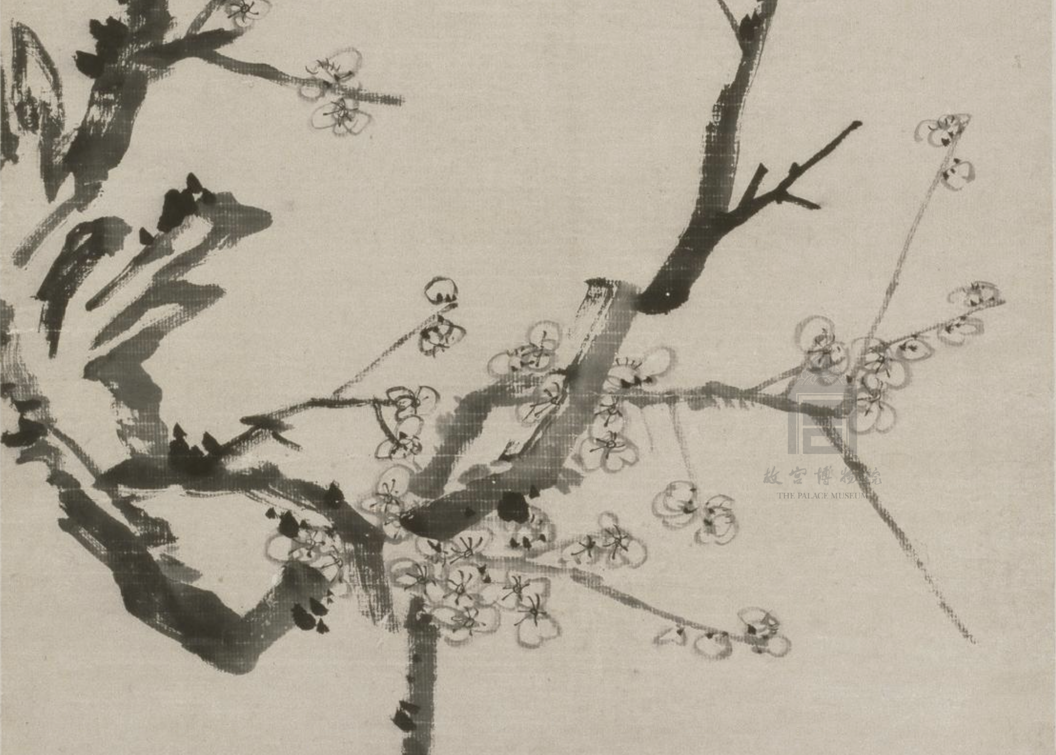 清 李方膺 墨梅图 轴(局部) 故宫博物院藏图中的折枝梅花具有强烈的