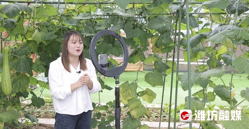 有关直播电商的法律