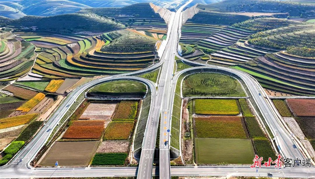 学习宣传贯彻党的二十大精神党组织书记专访访环县县委书记何英禅