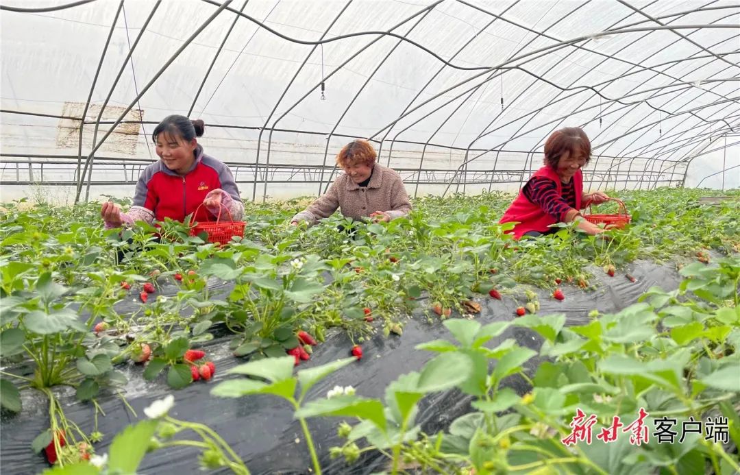 【学思想 强党性 重实践 建新功】办实事解民忧 破难题促发展——甘肃省各地各单位持续推动调研成果转化运用