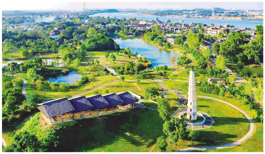 江西省吉安县永和镇吉州窑遗址,草木繁茂,满目青翠.受访者供图