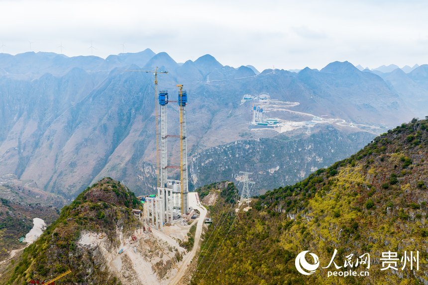 500元一晚同城约茶背后的真实体验与避坑攻略全揭秘