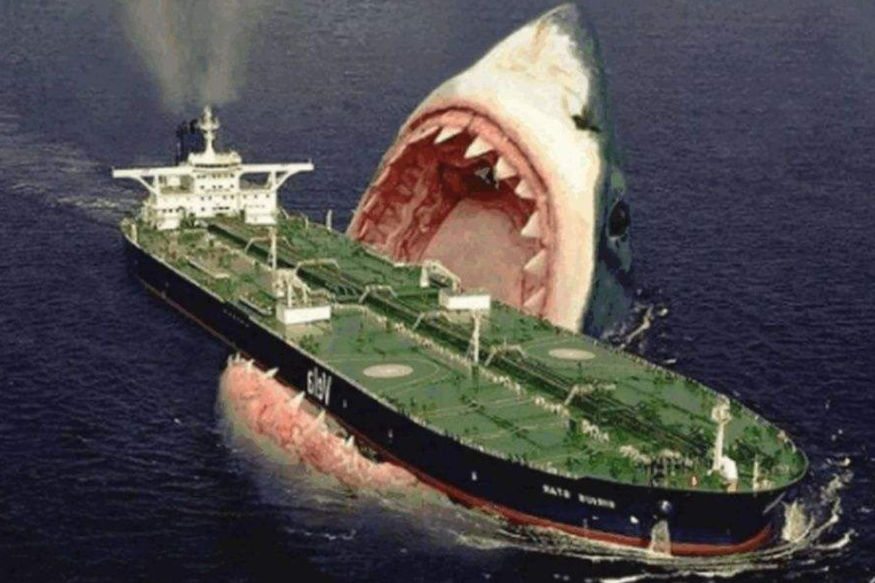 为何鲨鱼却喜欢出现在船周围呢?|掠食者|鲨鱼|航母_新浪新闻