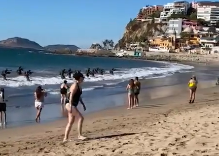 墨西哥特种部队突然现身海滩：队员持枪从水中冒出，游客纷纷躲避