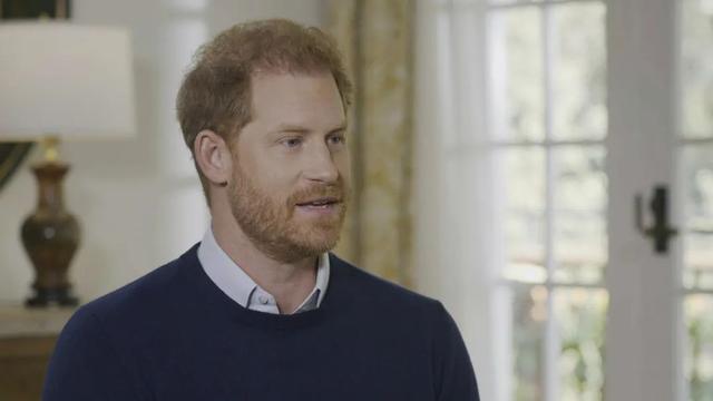 哈里王子在接受英国独立电视台Tom Bradby的节目采访。视觉中国 图