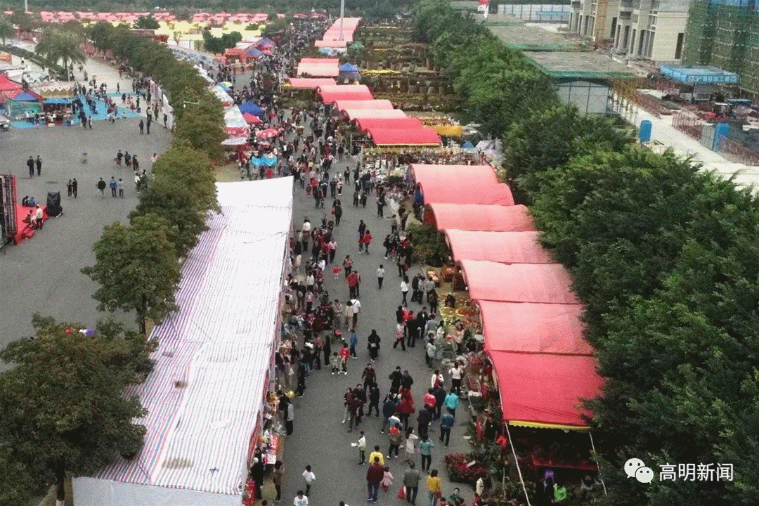 往年高明迎春花市现场。