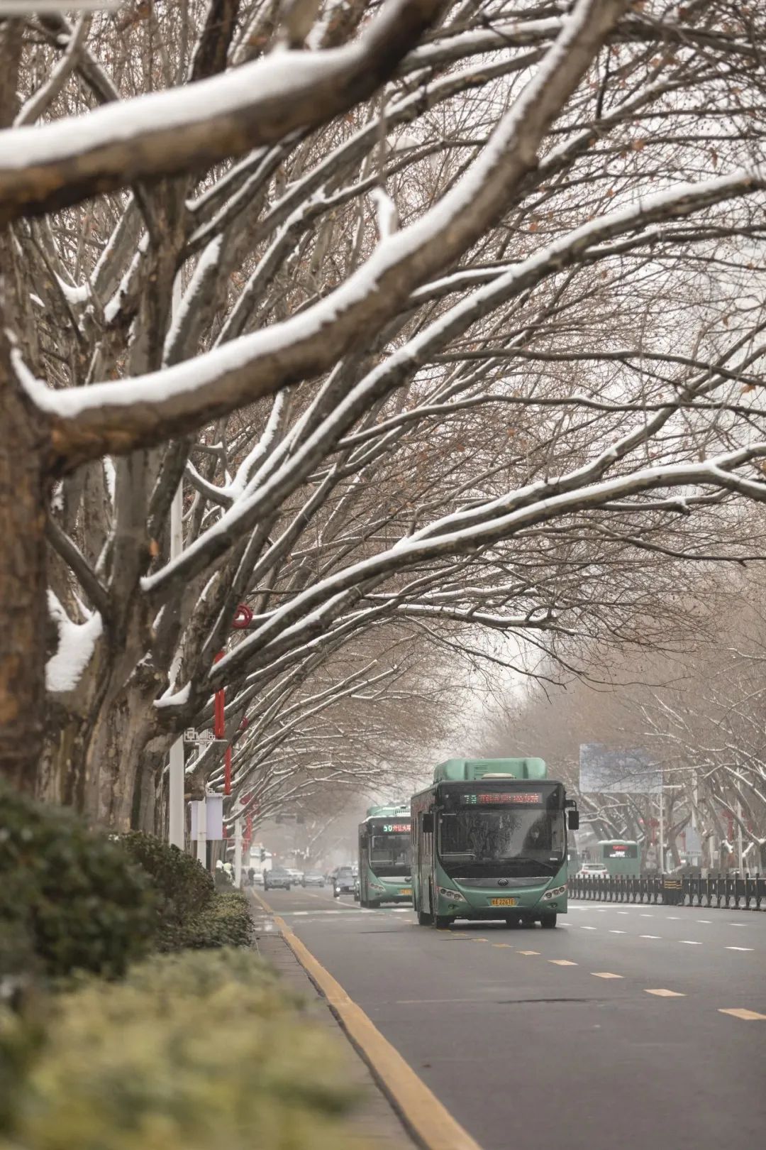 2023年郑州首场降雪要来了!河南局部大雪