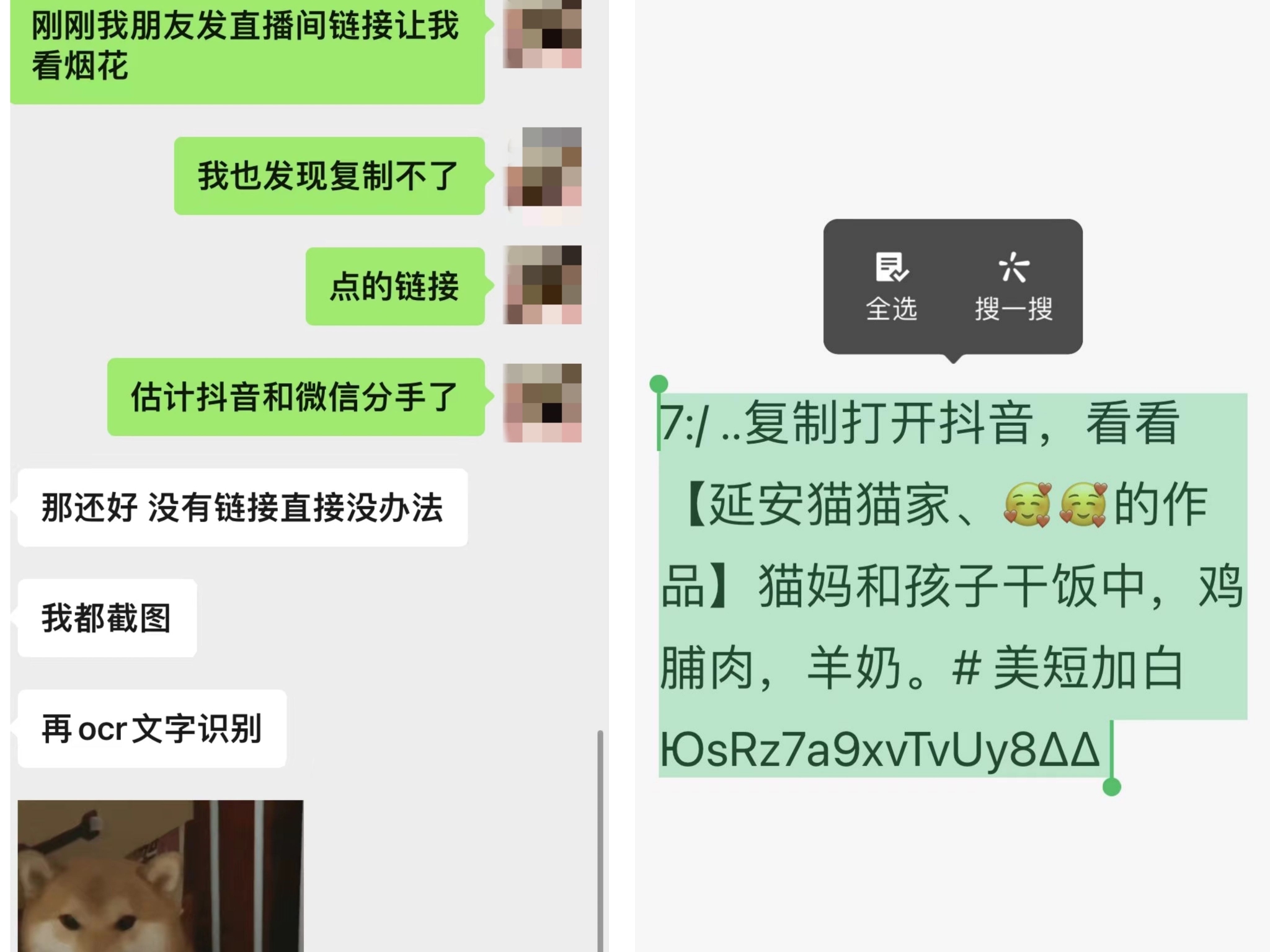 搜索引擎seo找圣安华