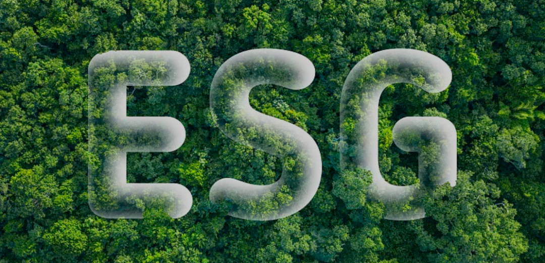 ESG热现象背后的冷思考__财经头条