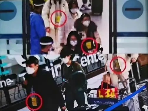 中国游客入境韩国被离谱对待：给他们挂“黄牌”休闲区蓝鸢梦想 - Www.slyday.coM