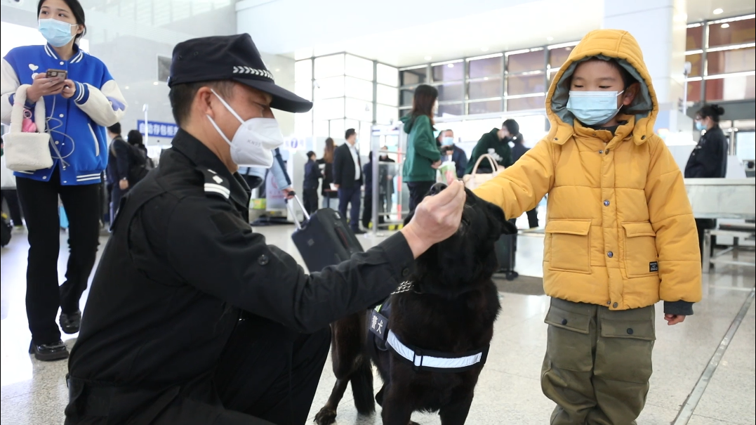 警犬金刚的最后一个春运