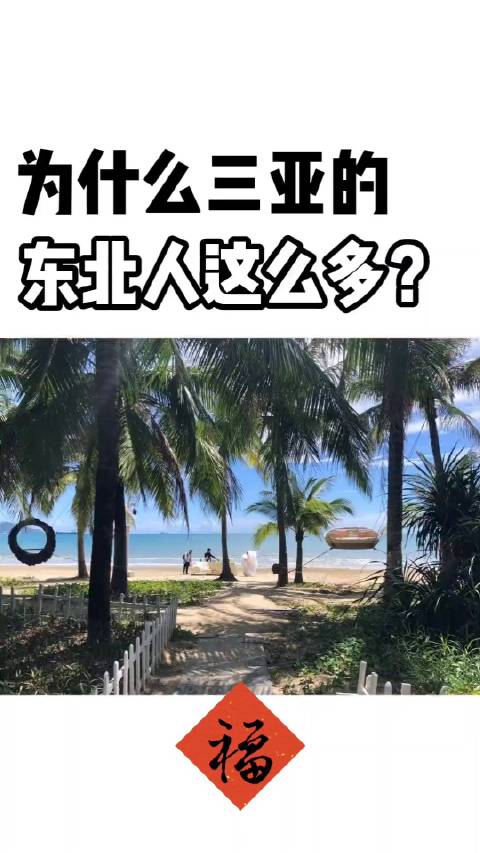 为什么三亚的东北人这么多？|三亚市_新浪新闻