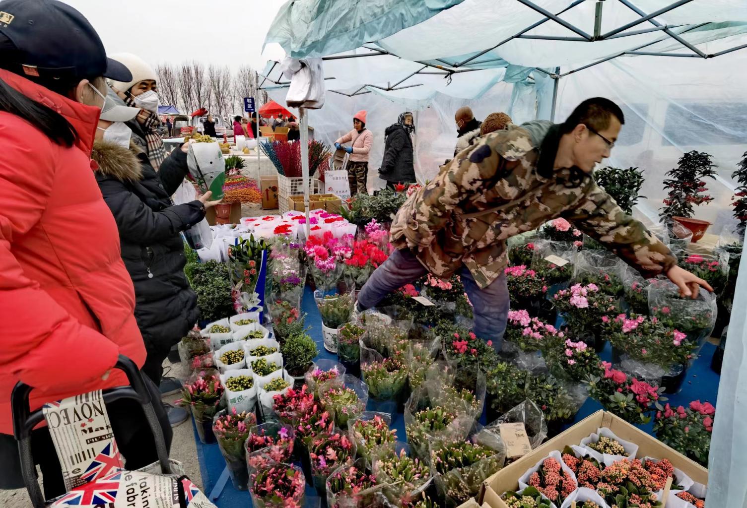 时隔两年,北京通州周营大集回来了|赶集|大集|通州_新浪新闻