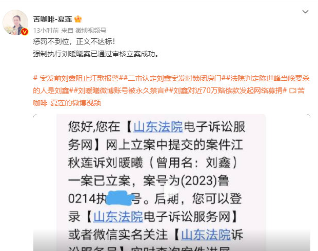 刘鑫已成被执行人，曾开启众筹让网友捐款难道刘鑫真没钱了？