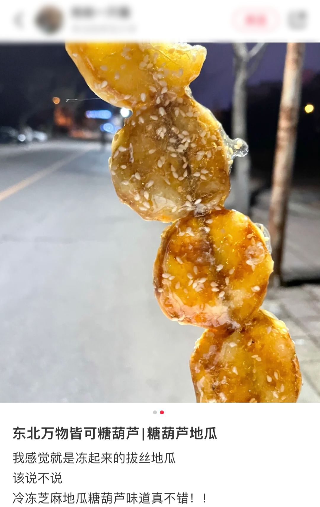 糖葫芦地瓜,吃起来有点像冻起来的拔丝地瓜.