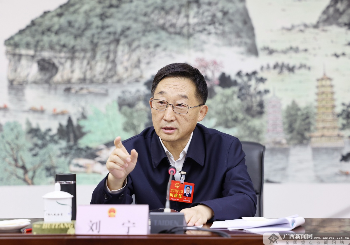 刘宁参加桂林市代表团审议