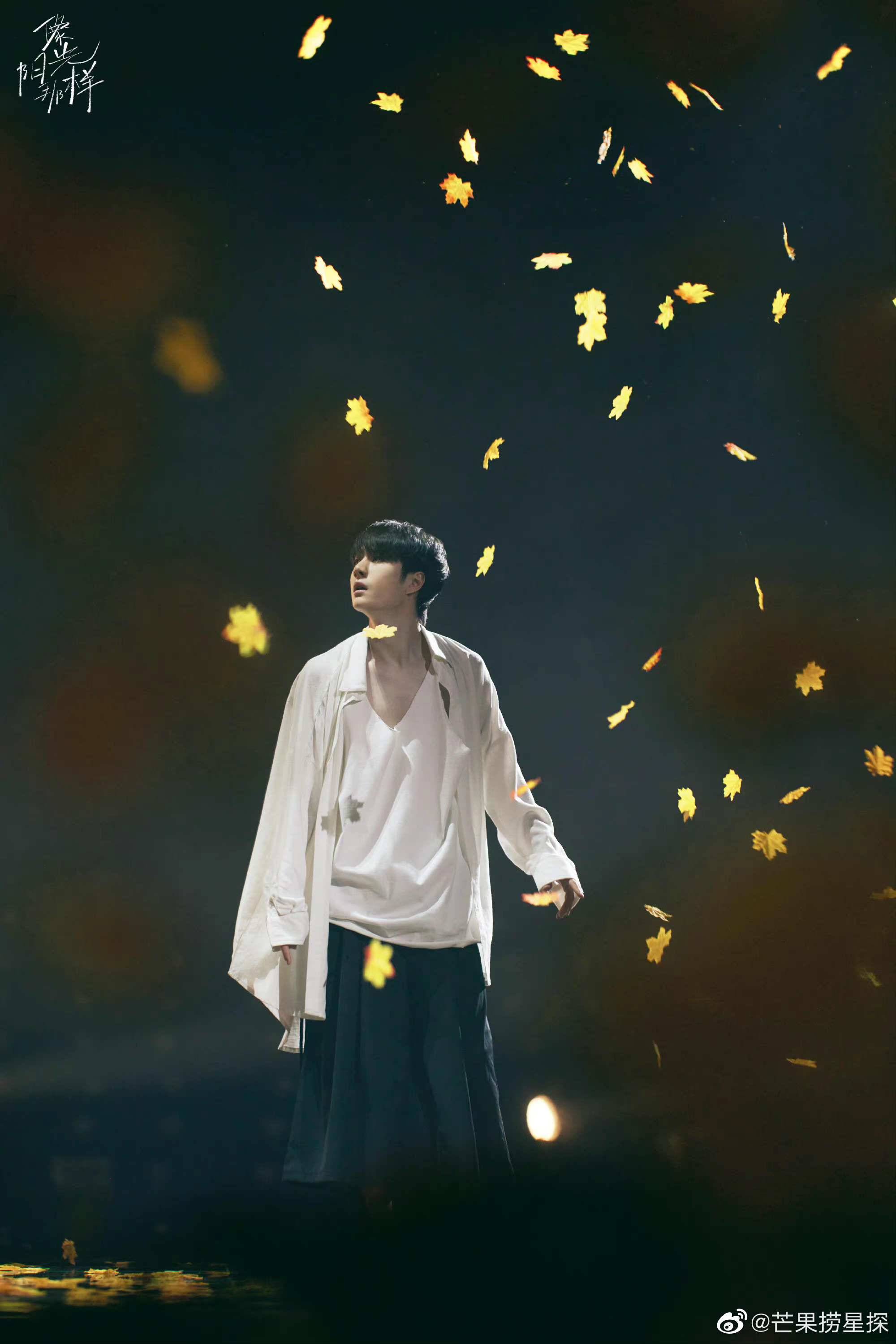 啵丝幸福过大年啊!|王一博|春晚|湖南卫视_新浪新闻