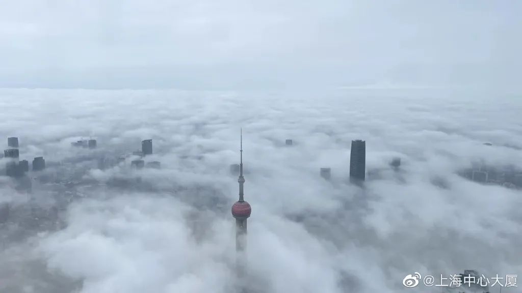 今天的外滩刷屏了！这不是仙境？有人说假得不真实休闲区蓝鸢梦想 - Www.slyday.coM
