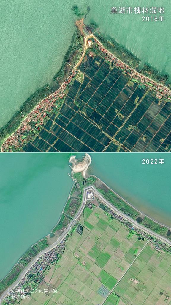图为巢湖槐林湿地对比图。图上可见，2016年巢湖岸线仍有渔船停靠，2022年这里已无渔船。