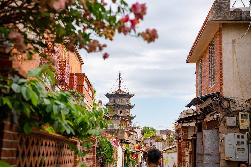 "刺桐花谢刺桐城",遍寻泉州开元寺没有刺桐树,郭沫若写错了吗|泉州市