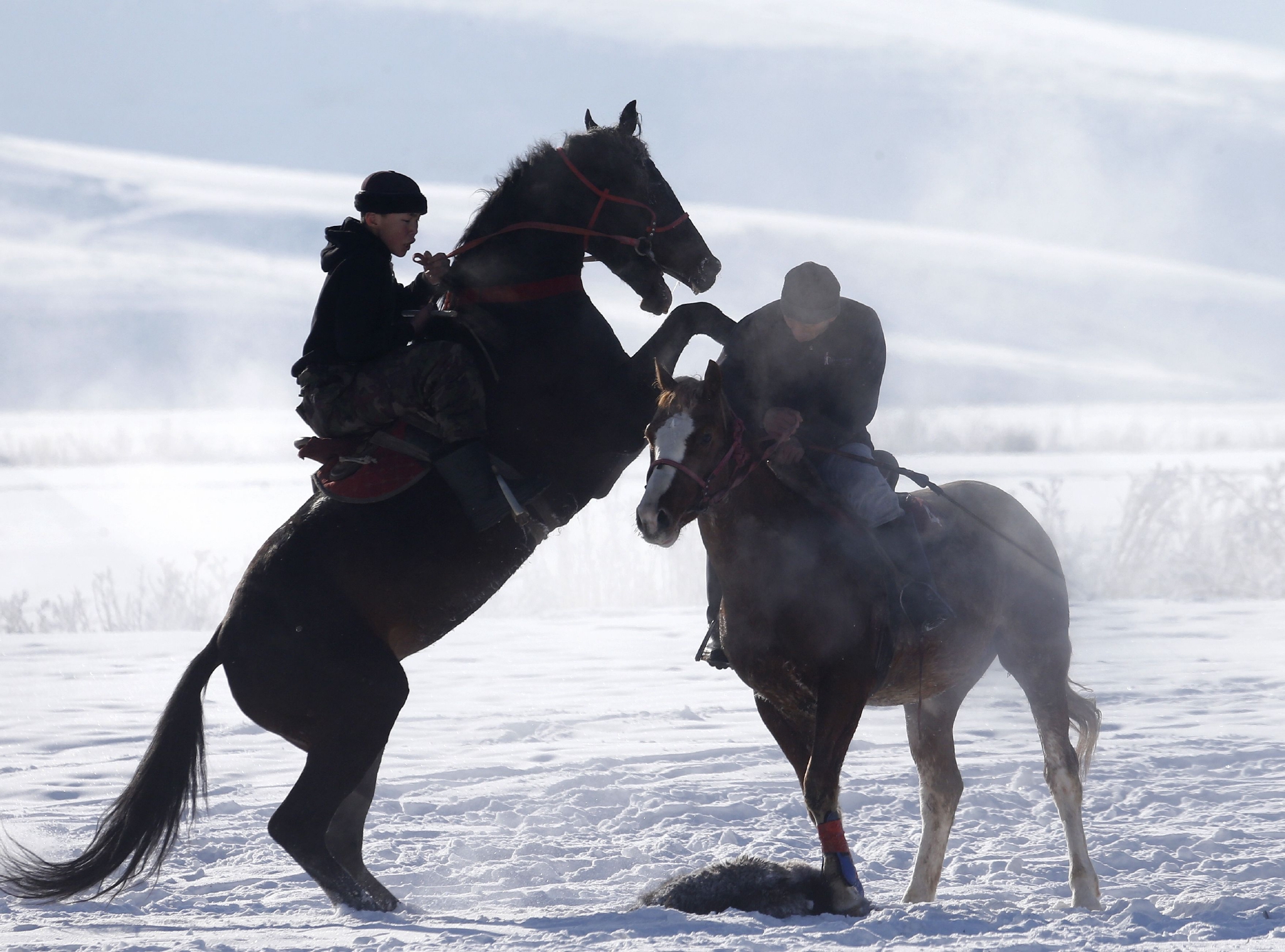吉尔吉斯斯坦举行马背叼羊比赛