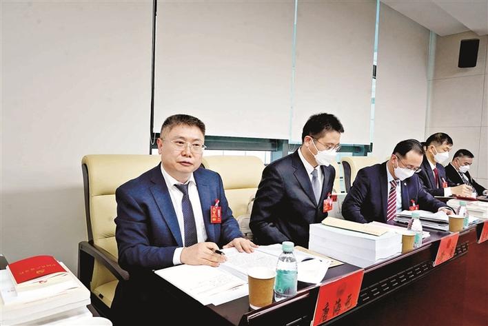 马田代表团审议区人大常委会、“两院”工作报告|人大代表|人大常委会|马田_新浪新闻