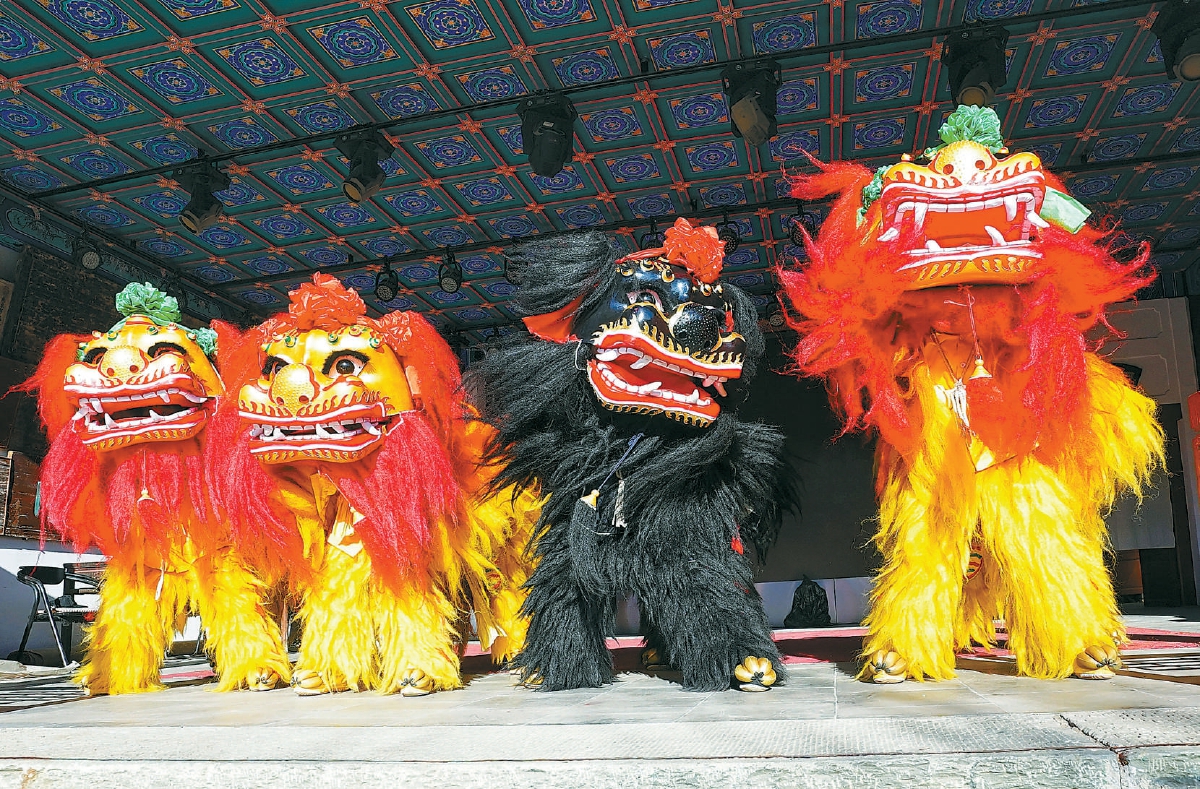 他们,"舞"起来了|舞狮|舞狮队_新浪新闻