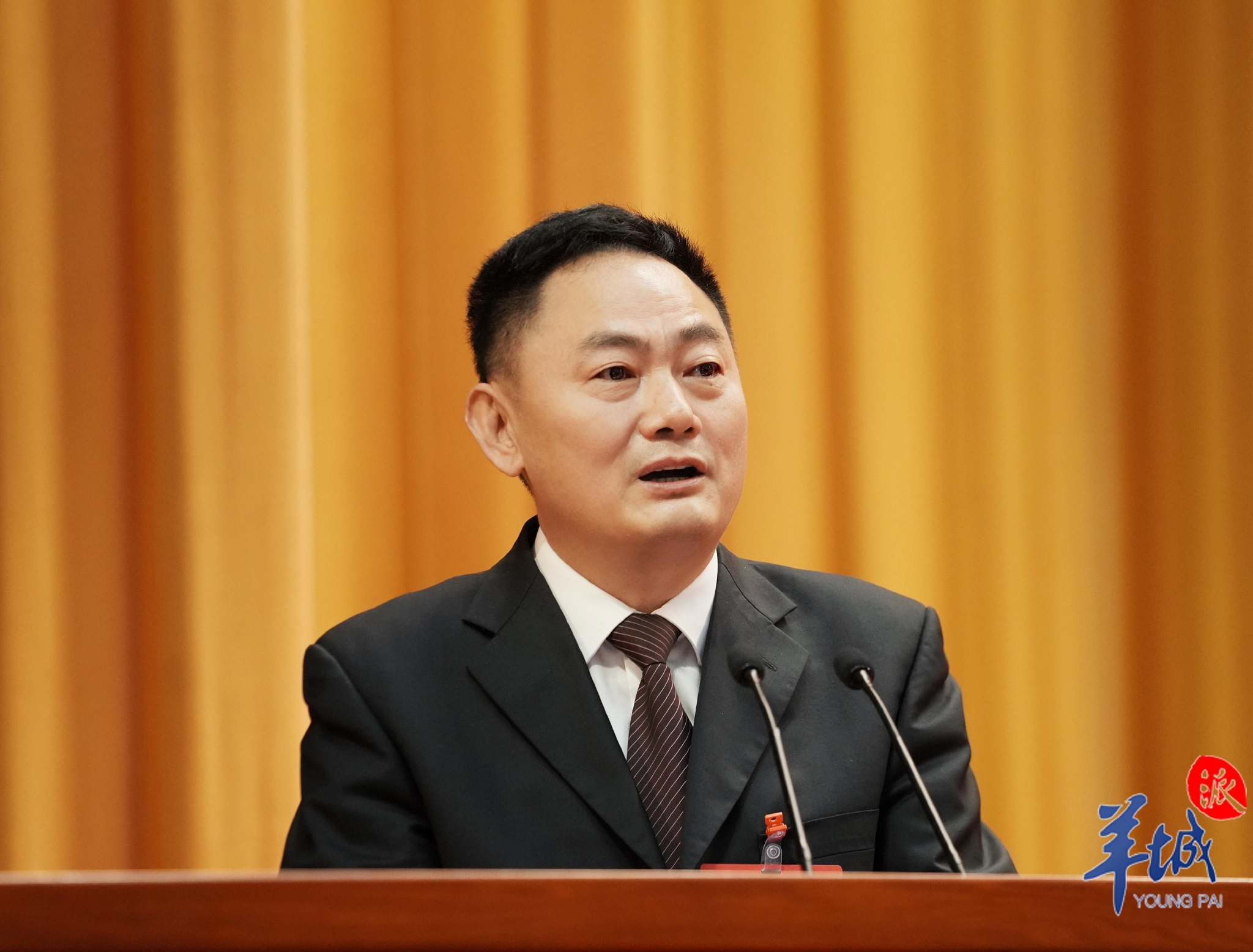 省政协委员林奎有效应用大数据破解中小微企业融资五缺难题