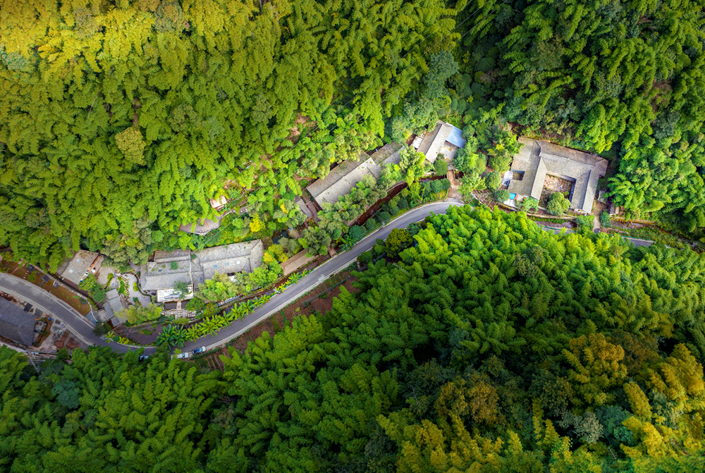 平乐古镇芦沟竹海景区民宿守拙