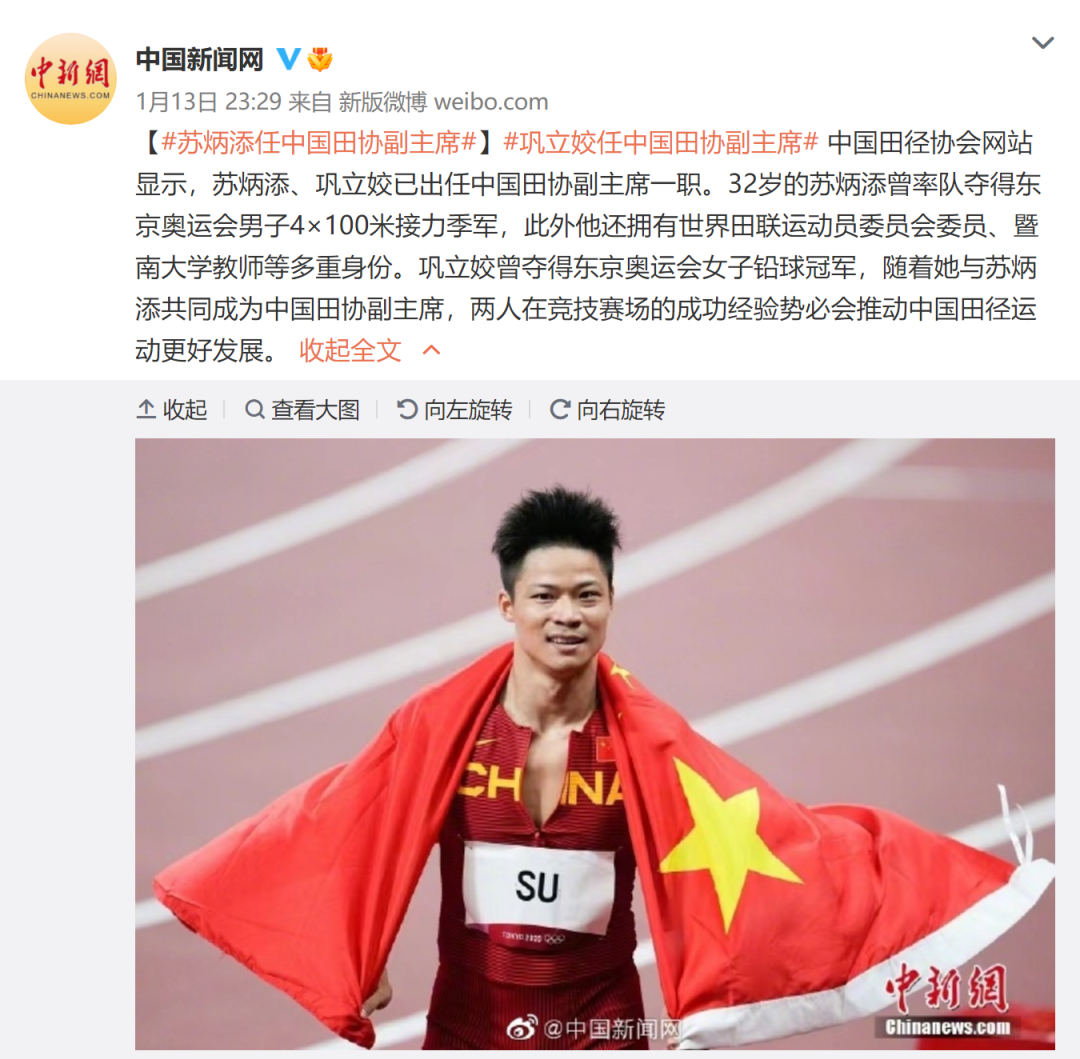 苏炳添，副主席