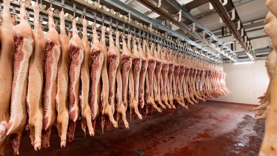 深入分析生猪市场供需和价格形势,建议屠宰企业适当增加商业库存,提振